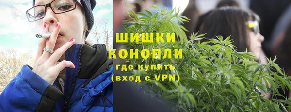 стаф Балахна